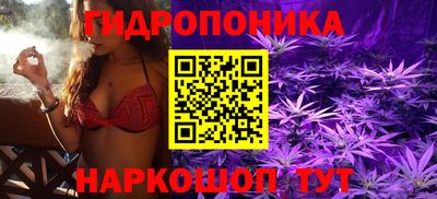 дмт Можга