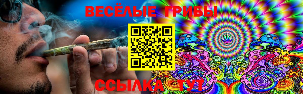 Галлюциногенные грибы прущие грибы  Вход с VPN  Урус-Мартан 
