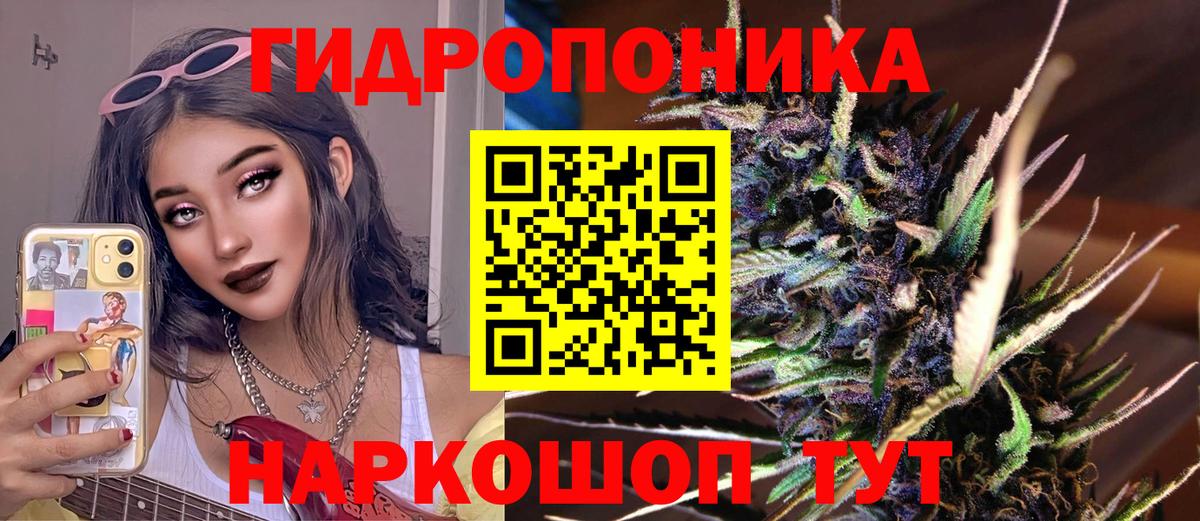 Бошки марихуана марихуана Урус-Мартан
